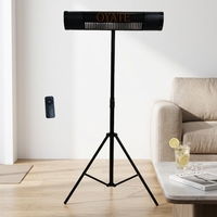 Chauffage infrarouge autonome 220V 3 vitesses 500/1000/1500W avec télécommande et tube rubis pour restaurant et salle à manger intérieure