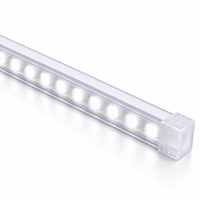 Bande lumineuse LED NEXCELL 6500K blanc froid, lentille 36 degrés, AC230V 13W/m, rouleau de 50m pour éclairage architectural