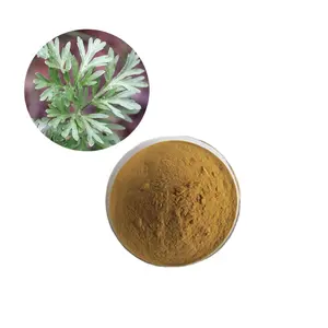 100% Organic Free Sample Pure Natural Fresh Extract Wormwood Leaf