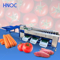 HNOC Ui Sorteermachine Aardbei Formaat Sorteermachine Fruit- en Groente Sorteer- en Classificatiemachine