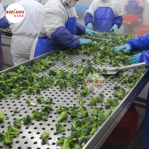 Brócoli congelado IQF <span class=keywords><strong>Verduras</strong></span> <span class=keywords><strong>congeladas</strong></span> de alta calidad a precio competitivo - Product Image 6