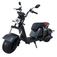 Vente en gros au Brésil : Scooter électrique à deux roues 1000W 20Ah avec batterie au lithium, pneus larges en alliage d'aluminium, Citycoco pour les trajets quotidiens