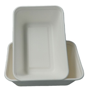 250g Organic Vegetable Container Fruit Punnet Biodegradable and Compostable Deep Container Storage Boxes & Bins Food Container