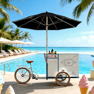 Carrito de Helados de Fibra de Vidrio con Logotipo Personalizado, Aprobado por CE y NSF, para Eventos al Aire Libre en Australia, 1 Año de Garantía - Product Image 1