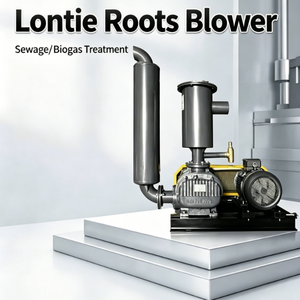 Taiwan Design LT Wastewater Sewage Treatment Three Leaf Root <b>Blower</b> Vacuum Pump 15HP Stable Continuous Positive Pressure - Product Image 1