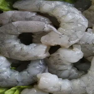 Food & Beverage Frozen IQF Vannamei Shrimp Raw Head On Prawn