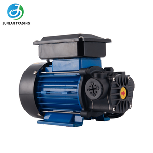 ปั๊มไฟฟ้าดูดน้ำมันดีเซลแบบพกพาขนาดเล็ก 220V ปั๊มน้ำแบบดูดเองได้ - Product Image 1