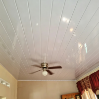 Système de plafond artistique 3D en PVC écologique, design européen, réduction du bruit, couleur personnalisée, intérieur épuré