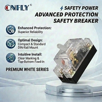 Interruptor de Circuito en Miniatura CNFLY NT50 C20, Interruptor de Seguridad con Panel 2P1E 2P2E