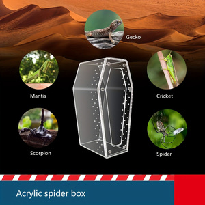 Transparante Acryl Klimmende Dierenvoeding Desktop Display Doos Reptiel Sterke Magnetische Spin Insectendoos Met Ventilatiegaten - Product Image 2