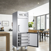 Congélateur Vertical Électrique 2025 en Promotion, Capacité 450L, Classe Énergétique A+++, Dégivrage Automatique, Double Porte, Idéal Hôtellerie et Usage Domestique