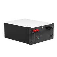 Baterai LiFePO4 48V 51.2V 200Ah 10.24kWh Rakit-Terpasang di Rak, Sistem Hybrid Grid CAN, Sel Grade A, untuk Peralatan Rumah Tangga