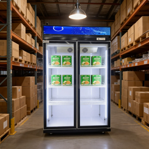 <span class=keywords><strong>Congélateur</strong></span> <span class=keywords><strong>vertical</strong></span> à porte vitrée, écoénergétique, pour magasin de boissons - Product Image 4