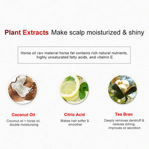 Großhandel Private Label Sulfatfreies Shampoo Natürliches Bio Haar Anti-Schuppen Feuchtigkeitsshampoo - Product Image 5