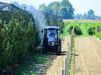 El Mejor Tractor Utilitario TB504 de 50HP 4WD para Nivelación de Terrenos, Preparación del Suelo y Trabajos de Labranza