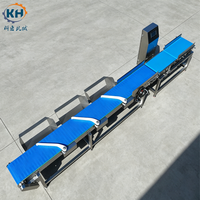 Máquina Clasificadora de Pescado Industrial con Cinta Transportadora, Clasificador de Peso para Productos Acuáticos, Acero Inoxidable, Grados Personalizables