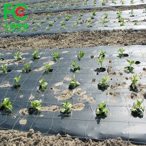 Paillis plastique organique, couverture de sol pour l'agriculture de jardin, film anti-mauvaises herbes, paillis pour le contrôle des mauvaises herbes, couverture de sol anti-herbe - Product Image 3