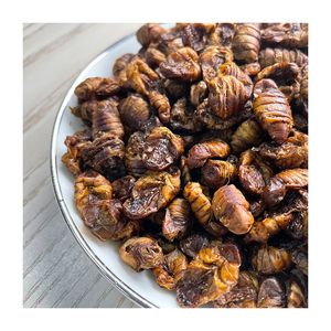 הנמכר ביותר אכיל חרקים להקפיא מיובש ארוחת תולעים מיובש גלמים תולעת משי - Product Image 3