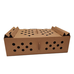 Wholesale customized die cut paper carrying transport live pet poultry corrugated board chicks box carton