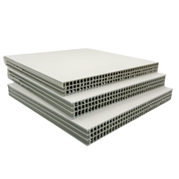Panneaux de coffrage en plastique alvéolaire pour dalles de béton 1220x2440x18