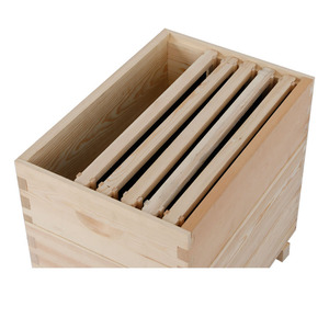 Equipo de Apicultura de 8 y 10 Cuadros, Caja de Colmena de Madera para Abejas de Australia con Buen Precio - Product Image 3