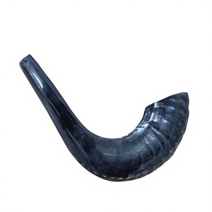 Shofar en corne de bélier naturelle authentique AZ ENTERPRISES AZE-RH02 pour la production d'instruments de musique faits à la main - Product Image 5