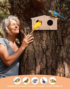 Nichoir pour perruches, nichoir en bois pour oiseaux, kits de nidification pour oiseaux de compagnie, boîte de reproduction, cage, accessoires pour oiseaux - Product Image 6