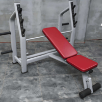 Banc de musculation multi-angles réglable DINUO, inclinable, plat et déclinable, banc de gym stable à forte capacité de charge pour exercices du corps entier