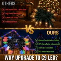 Guirlandes lumineuses de Noël C9 LED 24V personnalisées pour l'extérieur, décorations de Noël IP65, éclairages décoratifs pour arbres de Noël, vente en gros