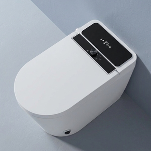 WC intelligent de luxe pour femme, bidet intelligent à poser au sol, économie d'eau avec chasse d'eau à arrêt automatique, équipement sanitaire intelligent - Product Image 1