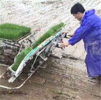 Transplanteur manuel de riz à 6 rangs, transplanteur manuel de riz à pied, machine à planter le riz, haute efficacité
