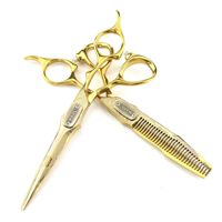 Kits de ciseaux de coupe de cheveux professionnels en acier inoxydable de 6.0 pouces FMC 4 couleurs demi-or ciseaux de beauté droits amincissement pointu