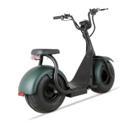 Moto électrique Citycoco 1000W à gros pneus et assistance électrique, style Harleyment, très populaire, scooter électrique très demandé