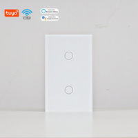 Interruptor de Luz Táctil Regulable de 2 Canales con Temporizador, 250V 10A, Estándar Americano, Inalámbrico, Compatible con Alexa y Google Assistant para Hogar y Oficina