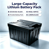 Batterie au lithium détachable de grande capacité DC12V/6A 15,6Ah pour réfrigérateurs de véhicule/réfrigérateurs d'extérieur