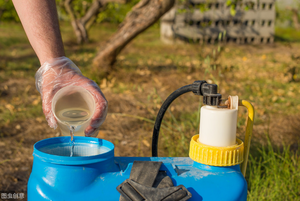 Beta-<span class=keywords><strong>cipermetrina</strong></span> 4.5% EW, <span class=keywords><strong>Insecticida</strong></span> Agrícola Económico y Altamente Efectivo Contra Orugas de Repollo, Pulgones e Insectos del Suelo - Product Image 4