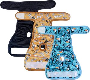 Pañal Ecológico de Tela Lavable para Perros, Pantalones Cortos Modernos para Perras - Product Image 2