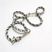 Laisse pour chien en paracorde tressée, laisse pour animal de compagnie tissée en 4 couleurs avec clip en métal doré clair, corde de marche durable, fournitures pour animaux de compagnie en gros