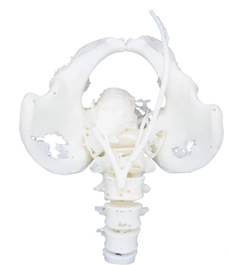 ZS LCD/DLP/LCD <span class=keywords><strong>Polyurethane</strong></span> Polyester Phenol Formaldehyde Nhựa Linh Hoạt Nhựa Đối Với Trang Sức Đúc 3d Máy In Nhựa - Product Image 6