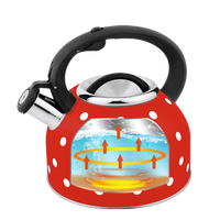 Bouilloire sifflet en acier inoxydable noir 2.5L avec fond unique 430 Base 201 Corps Satin Polish Nylon Poignée SS Couvercle