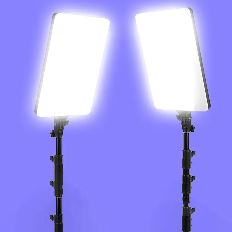 19 дюймов светодиодные лампы для видеосъемки с профессионального пульт дистанционного управления затемнения светодиодные панели освещения для студийной фотосъемки в прямом эфире заполняющий лампа