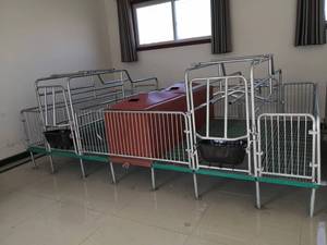 Thùng đẻ kép cho lợn nái. Chi phí thấp và chất lượng cao, thích hợp cho các trang trại lợn. - Product Image 5