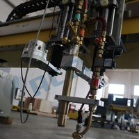 Máquina de corte por plasma CNC de nueva condición con servomotor 120A 220V 2 años de garantía para las industrias del acero