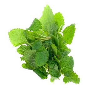 Aceite Esencial Puro Destilado al Vapor, Aprobado por ISO, Anti-Hinchazón, Blanqueador, Fabricación a Granel, Aceite de Melissa Officinalis (Melissa Lemon Balm Oil) - Product Image 2
