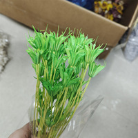 Bunga Nigella Kering Love in a Mist, Diawetkan Alami Asli Abadi Selamanya, Pod Biji untuk Rangkaian Bunga DIY Dekorasi Pernikahan
