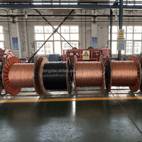 Fengda 3,8/6,6 KV Einzel-/Dreileiter-Kabel 95mm120mm150mm185mm240mm300mm400mm500mm Abgeschirmtes XLPE-Kabel 1C X 630 mm² Mittelspannungskabel