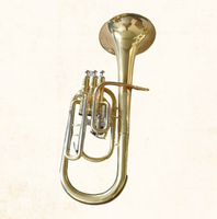Hot-Selling Alto Horn Brass Instrument for Adults Beginners and Professional Players