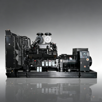 Generador diésel de 1 MW, 1000kW, 1250kVA, con motor de marca famosa, gran potencia, frecuencia de 60Hz, opción ATS, voltaje nominal de 230V/240V