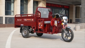 Triciclo Eléctrico de 800W 60V40AH, Motocicleta de Carga de 3 Ruedas para Adultos, Alta Capacidad de Carga, Largo Alcance, Neumáticos de Alta Adherencia, E-Trike - Product Image 5