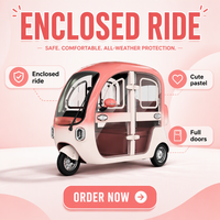 Scooter à trois roues, nouveau tricycle électrique fermé avec cabine, tricycle électrique pour la famille au quotidien